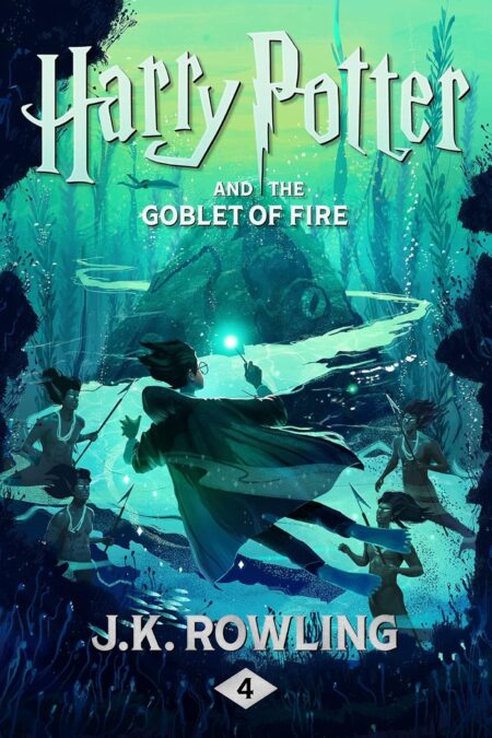 Harry Potter Goblet Fire book cover